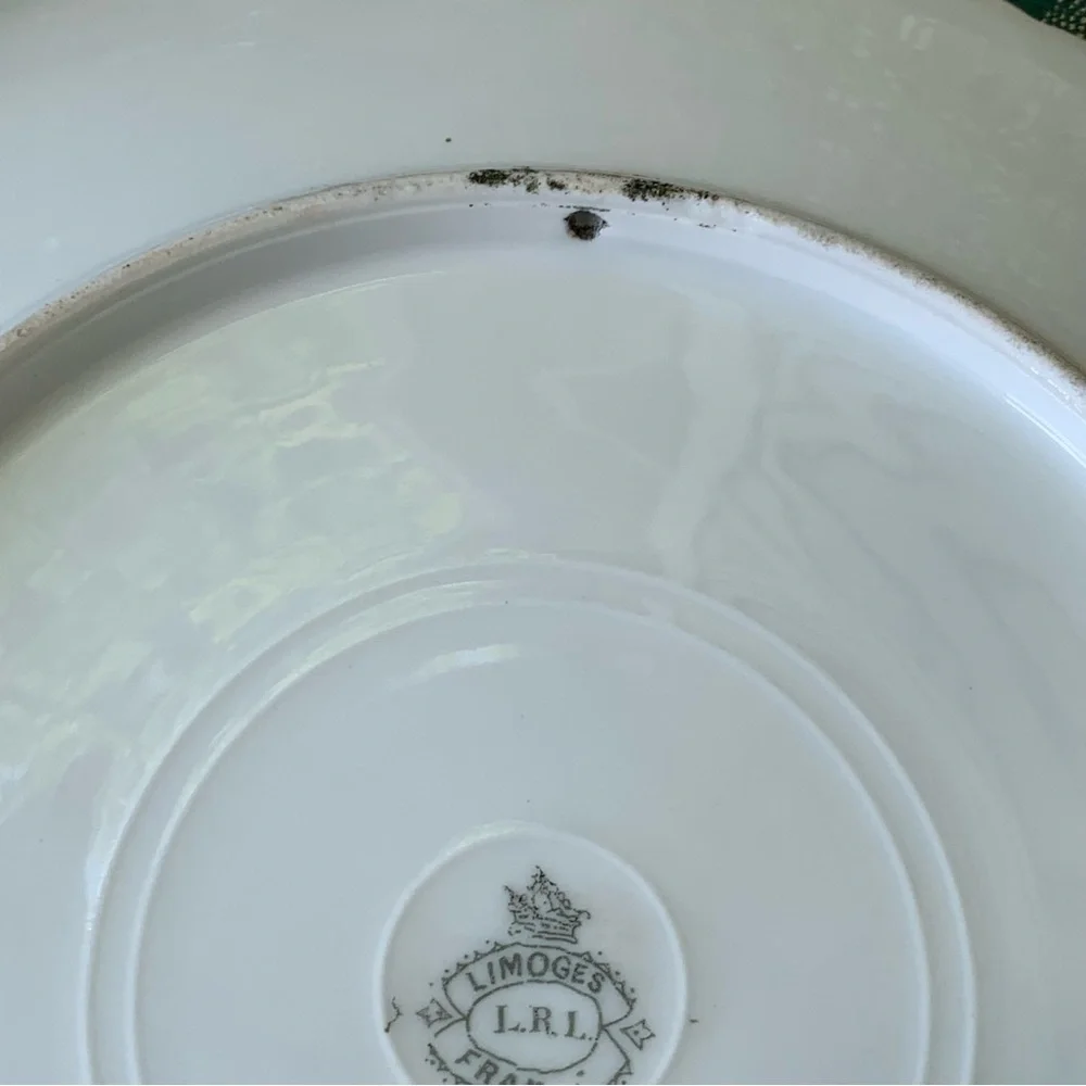 Antique Limoges France LRL Duck in Flight Plate Game Bird Signed Vitec